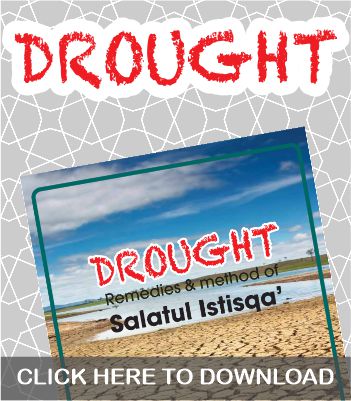 drought web